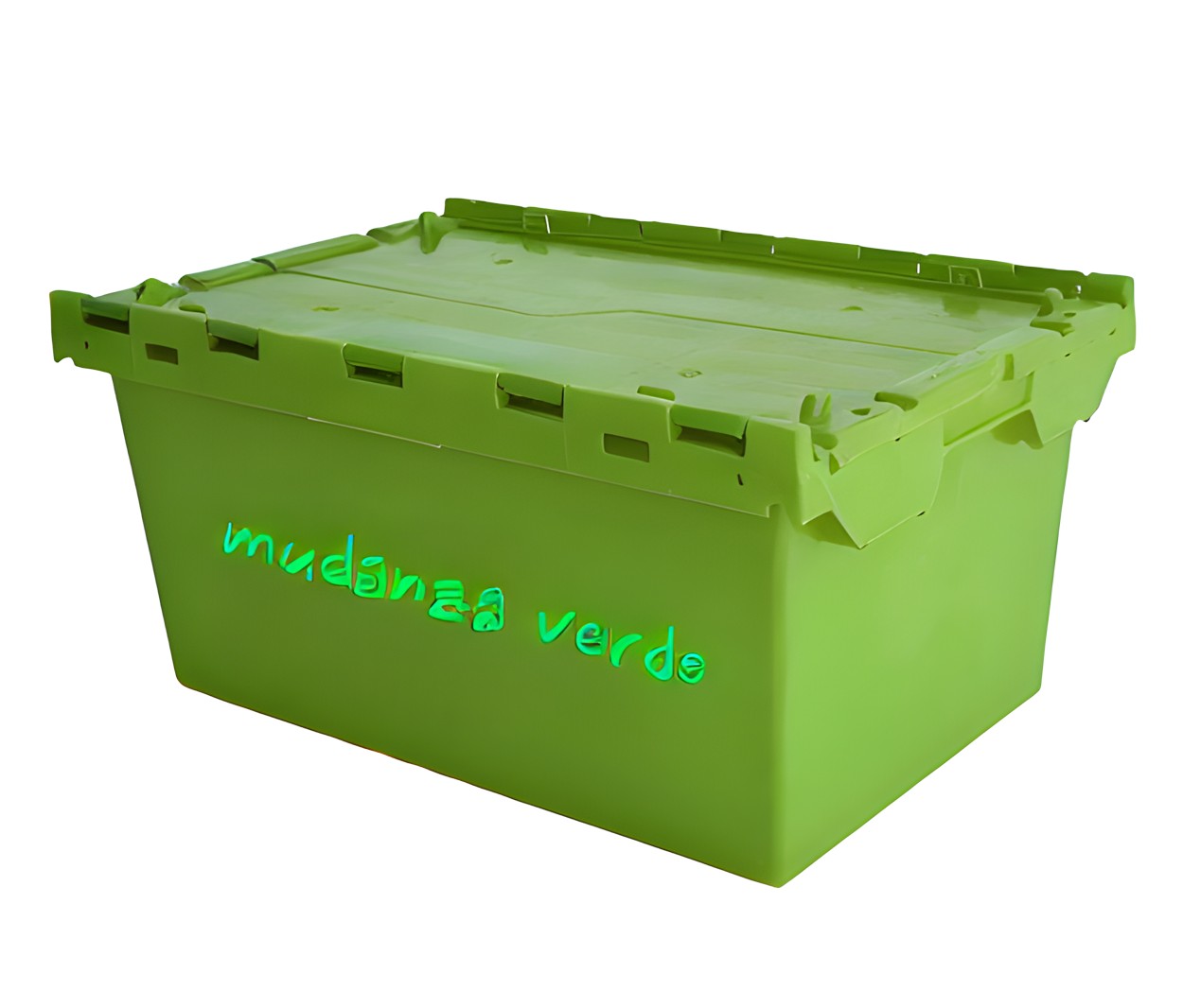 Caja de plástico verde Mudanza Verde para alquiler